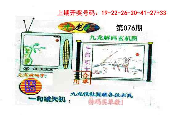 076期九龙报[图]